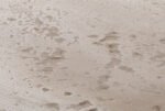 travertine (terracotta)
